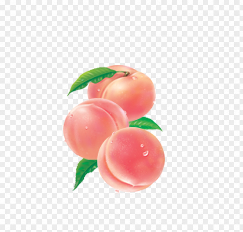 Peaches Nectarine Prunus Nigra Fruit Food PNG