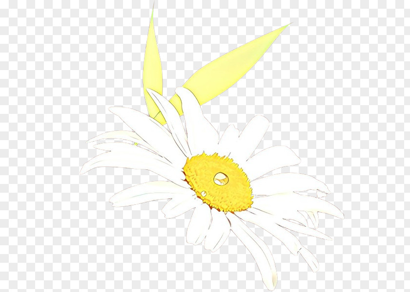 Sunflower PNG