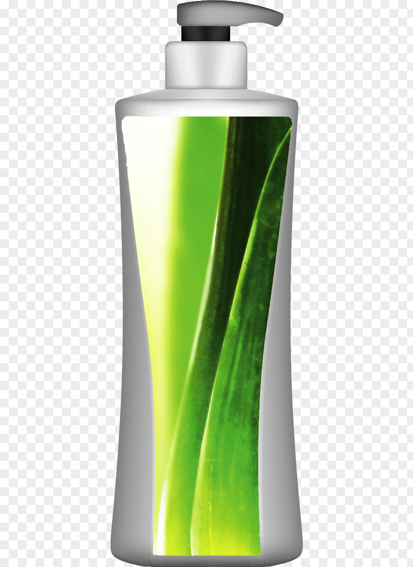 Vector Painted Aloe Shampoo Vera Euclidean Bottle PNG