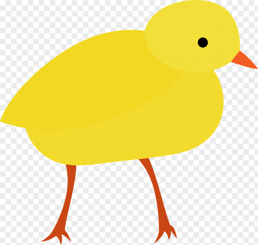 Bird Chicken Animation Clip Art PNG