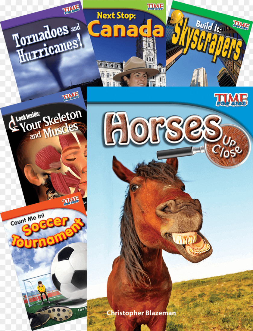 Book Cover Material If I Ran The Horse Show Everything Horse: What Kids Really Want To Know About Horses Amazon.com Advertising PNG