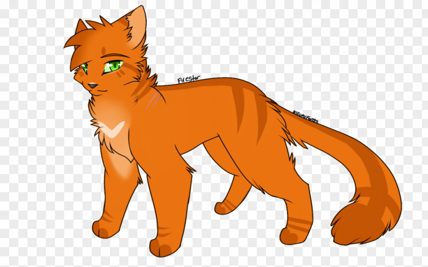 Cat Whiskers Lion Art Red Fox PNG