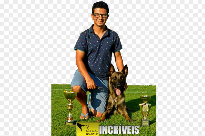 Iron Dog Algarve BreedOs Incriveis Tavira Obedience Training Escola De Cães PNG