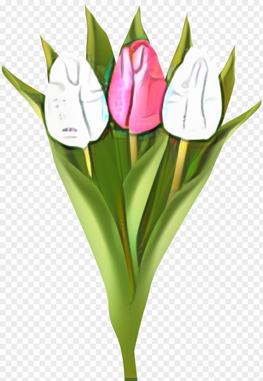 Indira Gandhi Memorial Tulip Garden Clip Art Cut Flowers PNG