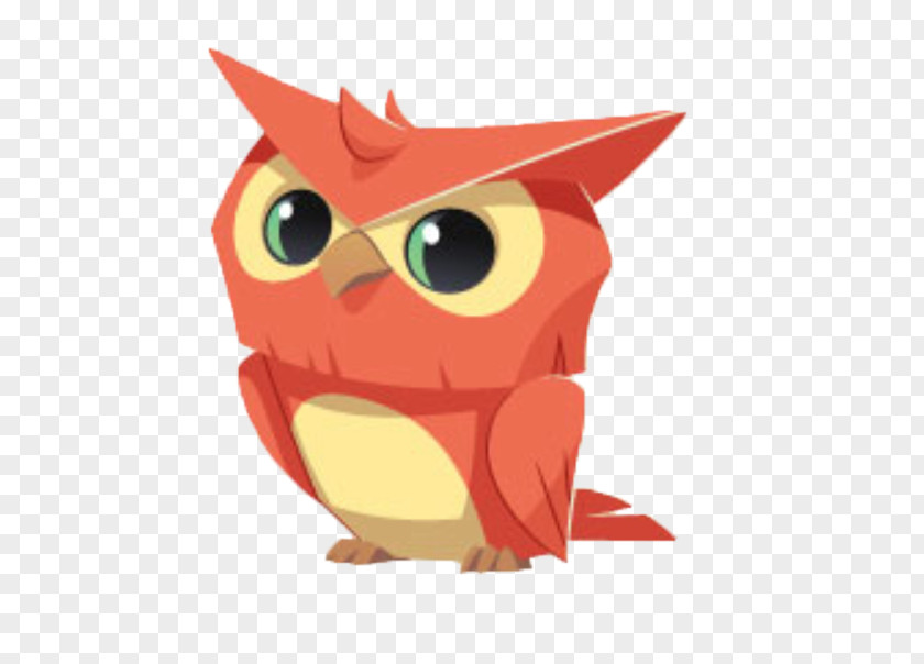 Owl National Geographic Animal Jam Bird Drawing PNG