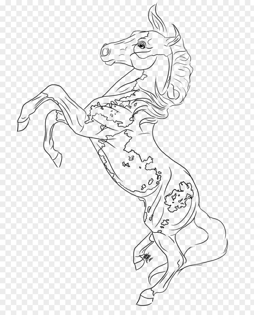 Paint Lines Line Art American Horse Rearing Drawing Sketch PNG