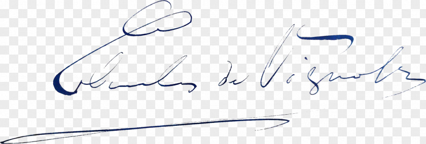 Signature Paper Line Art Drawing Calligraphy Sketch PNG