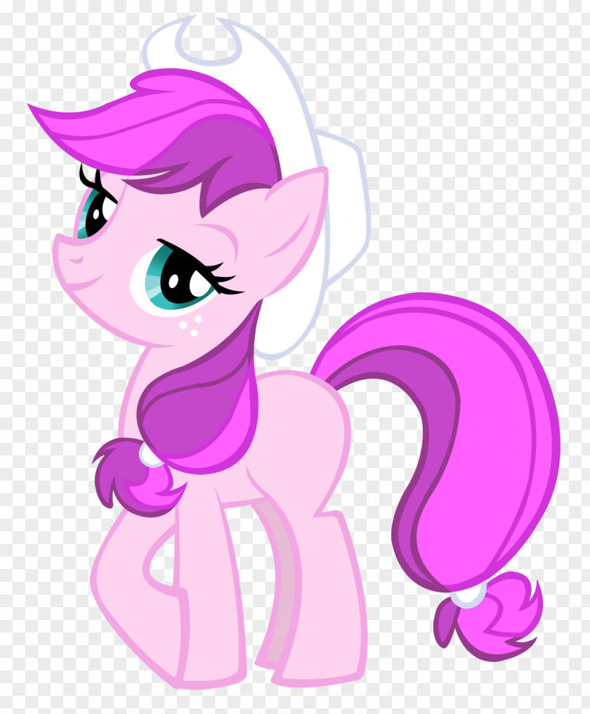 Concept. Vector Applejack Rainbow Dash Pinkie Pie Twilight Sparkle Rarity PNG
