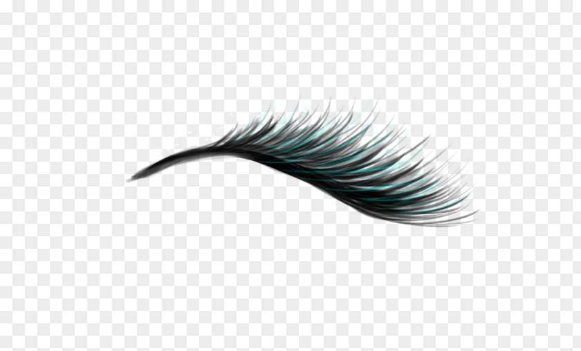 Eyelash Extensions Artificial Hair Integrations PNG