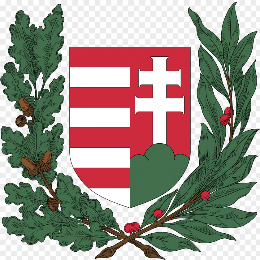 Flag Of Hungary War Coat Arms PNG