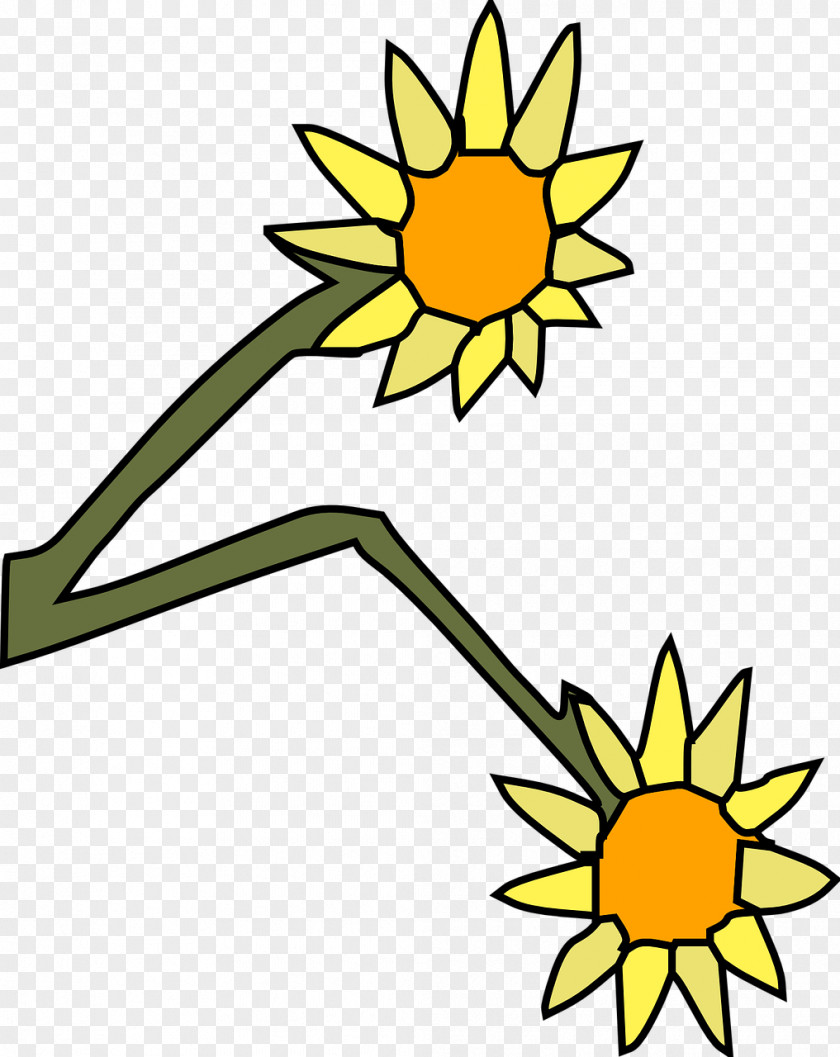 Flower Common Sunflower Yellow Cut Flowers Clip Art PNG