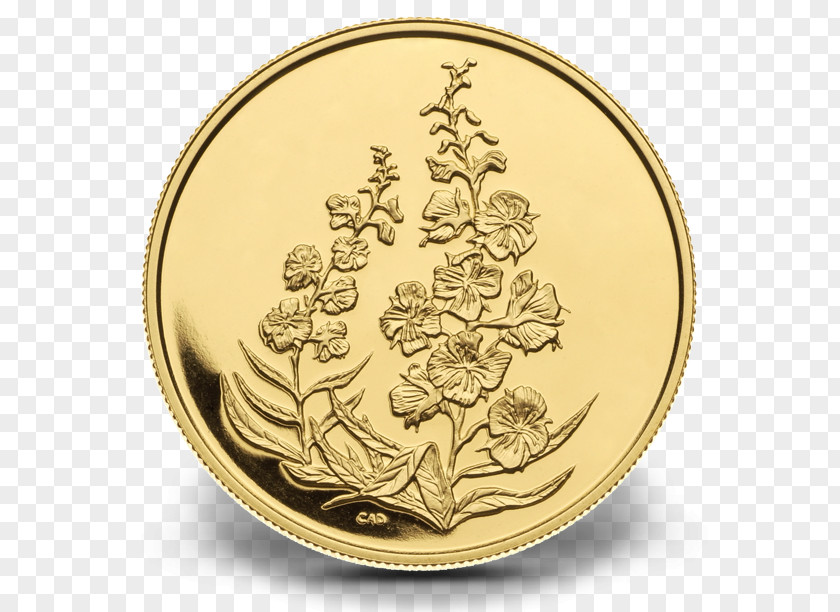 Gold Coin Burt's Bees, Inc. PNG