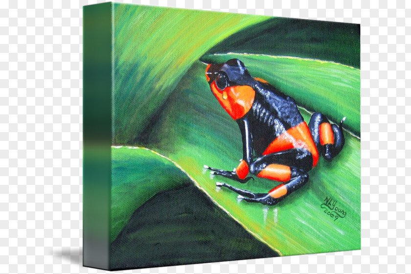 Painting Lehmann's Poison Frog Tree Oil Paint PNG