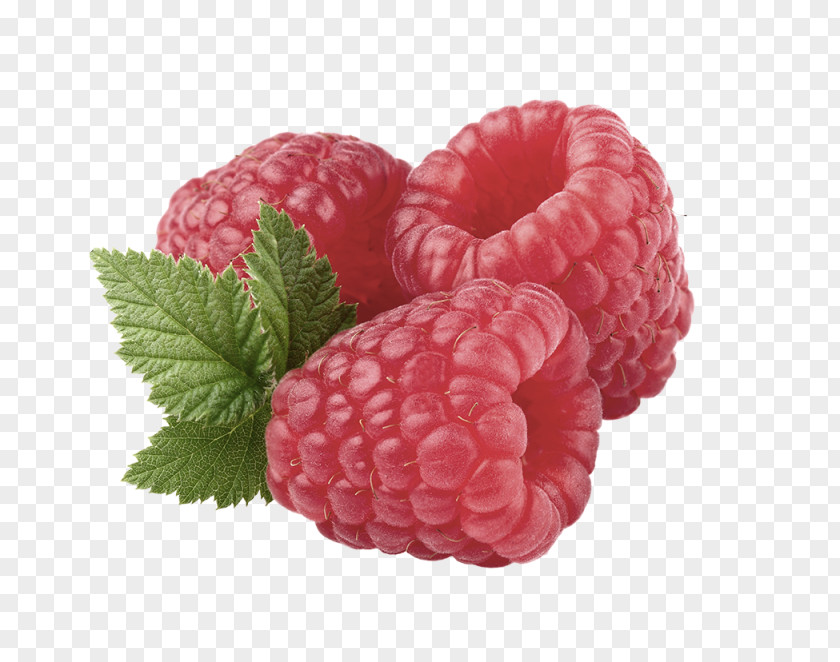 Raspberry Red Stock Photography Clip Art PNG
