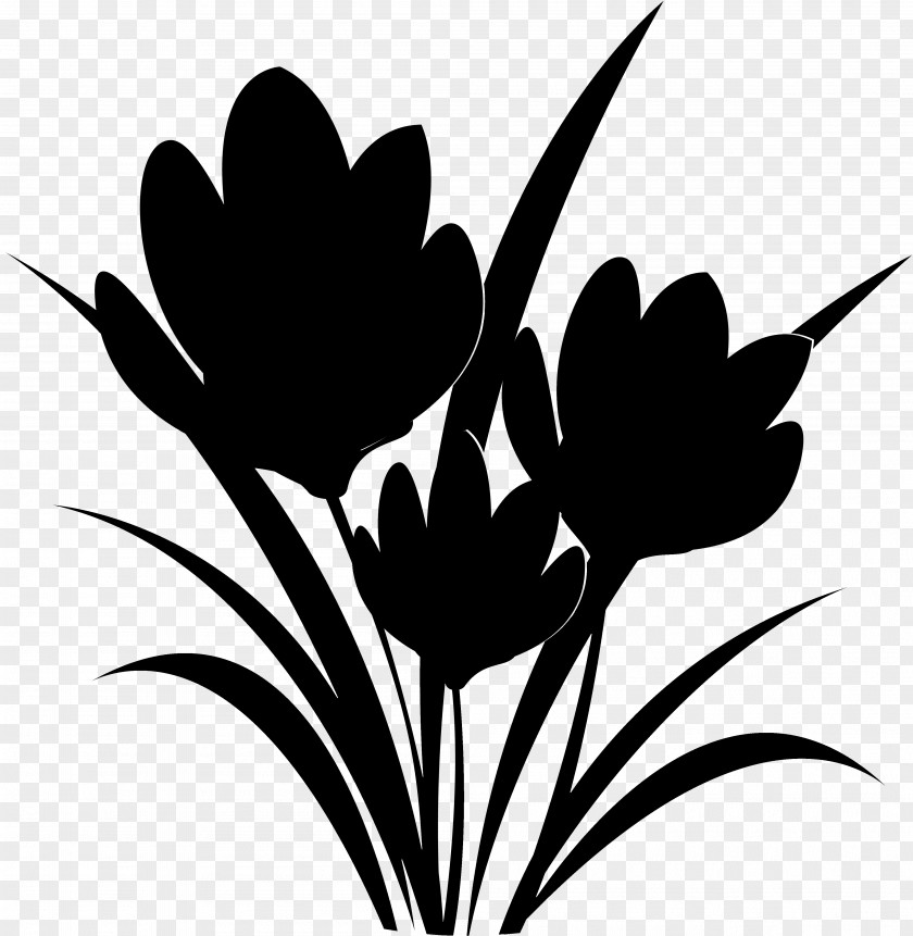 Tulip Clip Art Plant Stem Leaf Desktop Wallpaper PNG