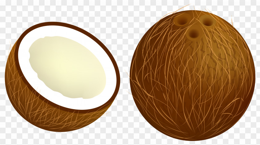 Coconut Vector Clipart Image PNG