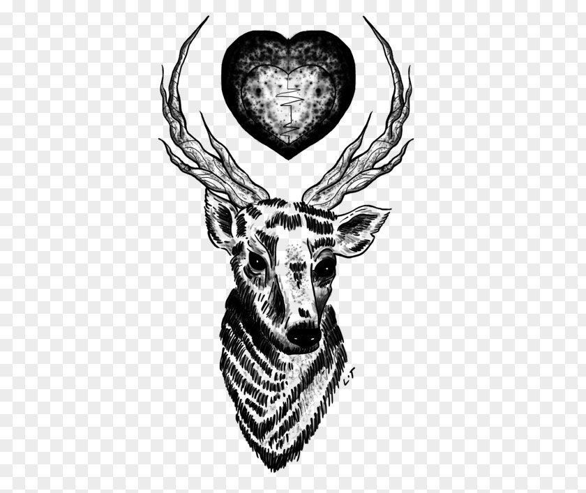 Deer Tattoo One Direction Drawing Musician PNG