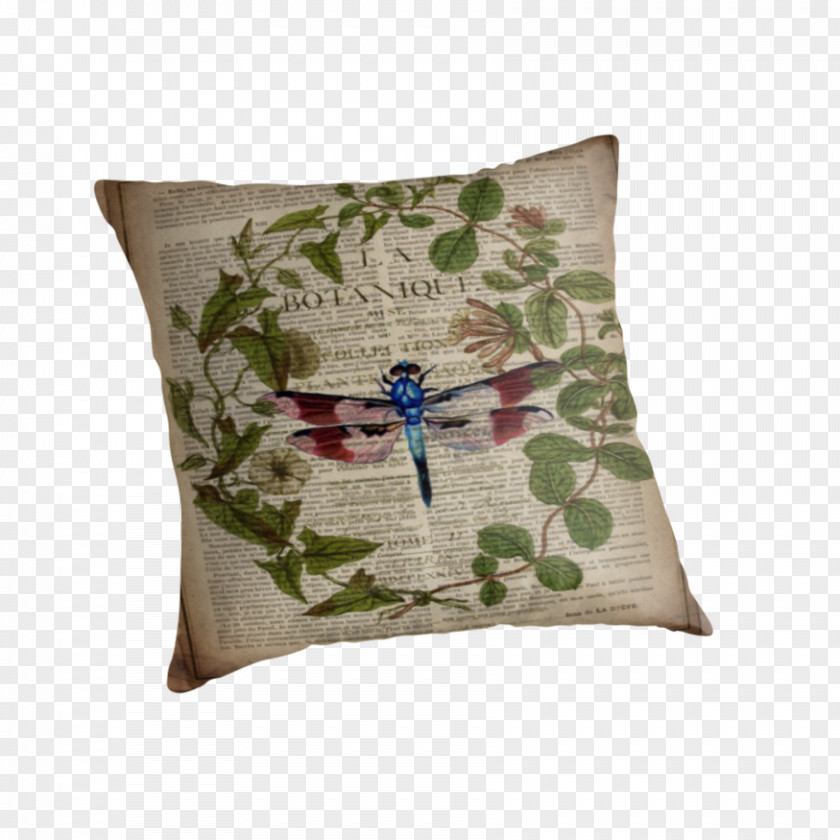 French Parasol Leaf Throw Pillows Dragonfly Note Cards Cushion Botany PNG
