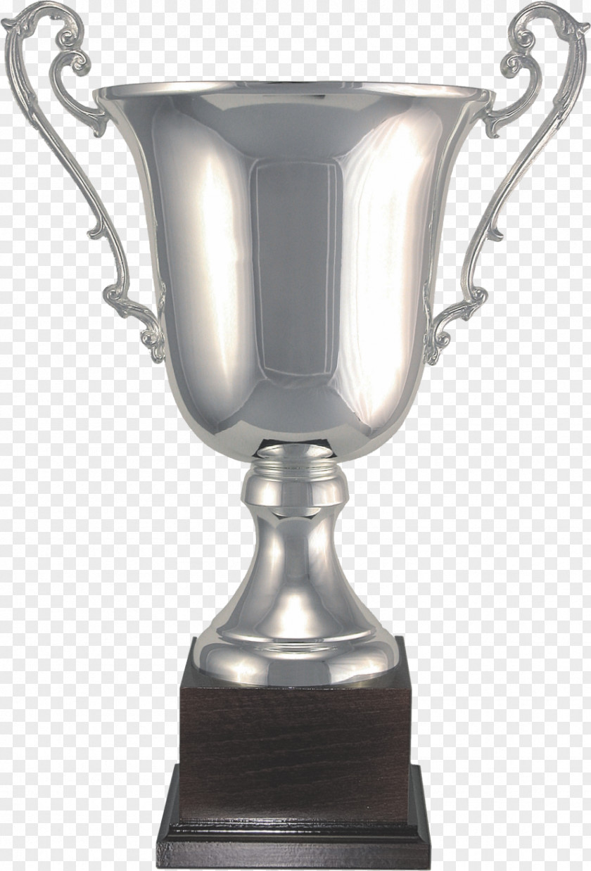 Golden Cup Trophy Award Silver Medal PNG