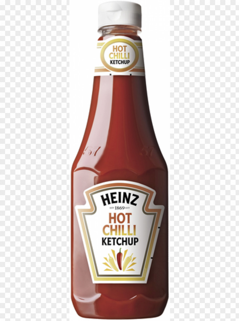 Salt Ketchup H. J. Heinz Company Tomato Juice Chili Pepper Sauce PNG