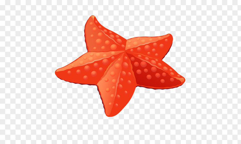 Starfish Download PNG