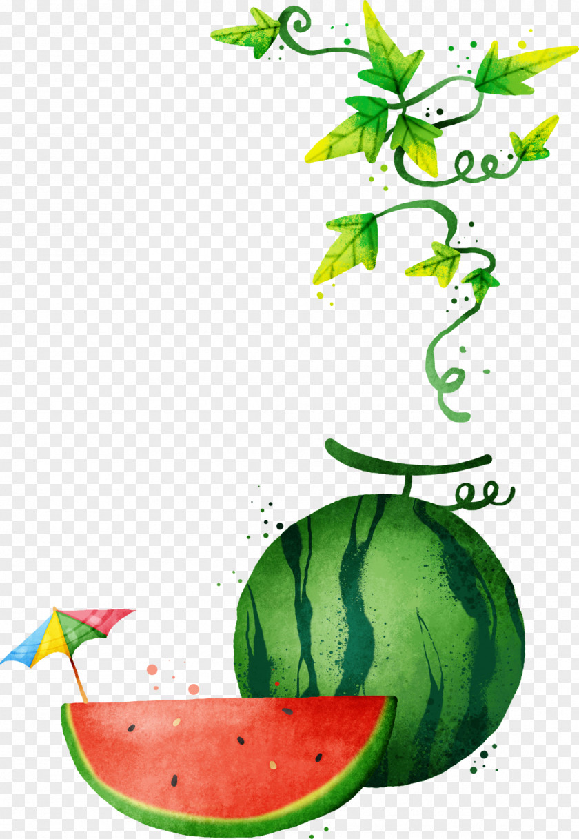 Watercolor Painted Watermelon Melon Vine Clip Art PNG
