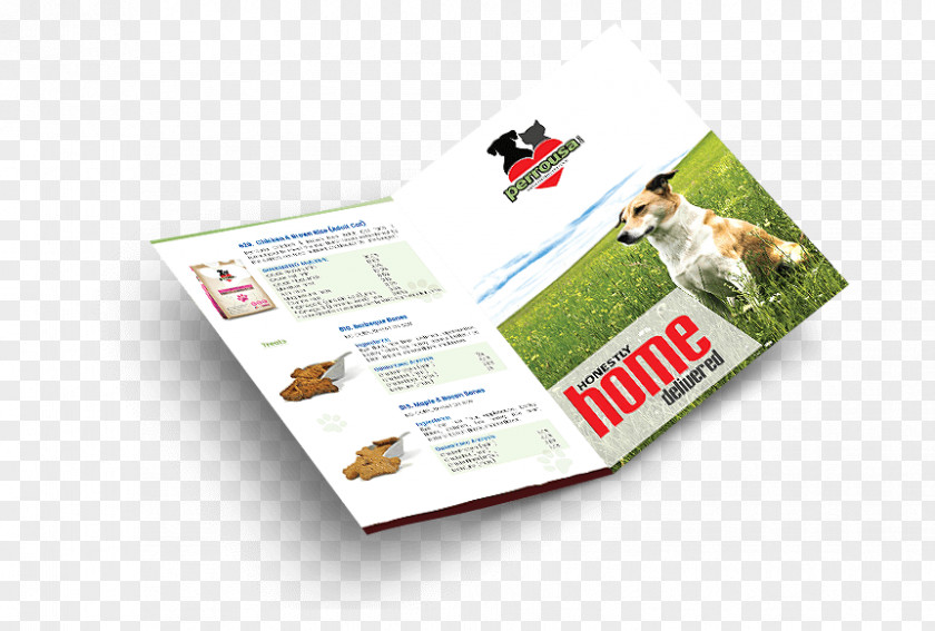 Best Brochure Design Advertising Service Brand PNG