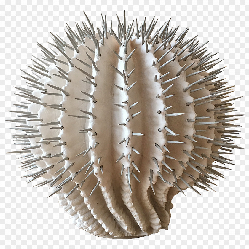 Brush PNG