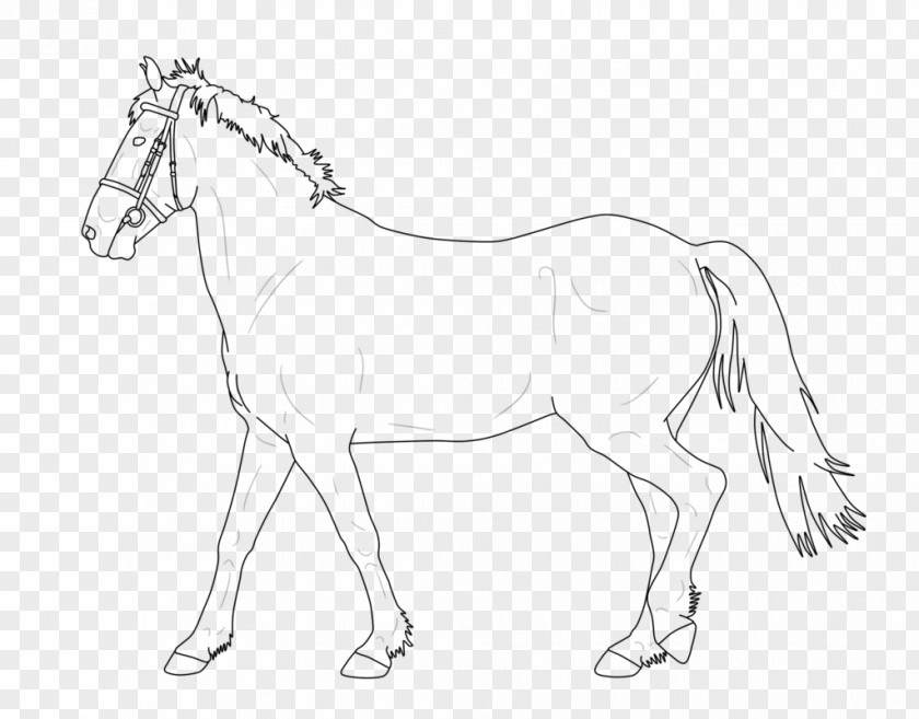 Standing Horse Line Art Tennessee Walking Drawing Pony PNG