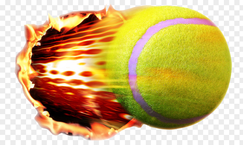 Tennis The US Open (Tennis) Balls Clip Art Image PNG