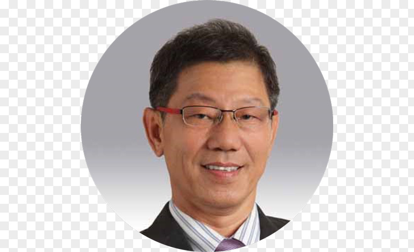 Tong Lee Building 0 Yong Beng (s) Pte. Ltd. Chief Executive Business PNG