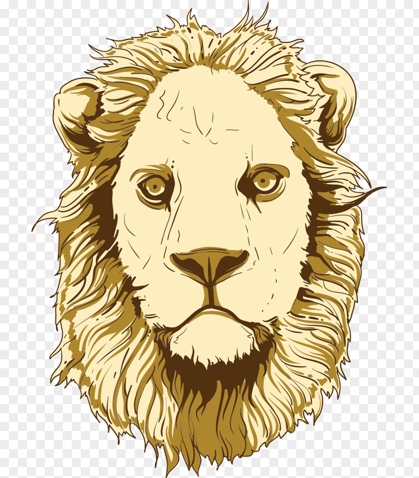 Vector Cartoon Lion Tiger Illustration PNG