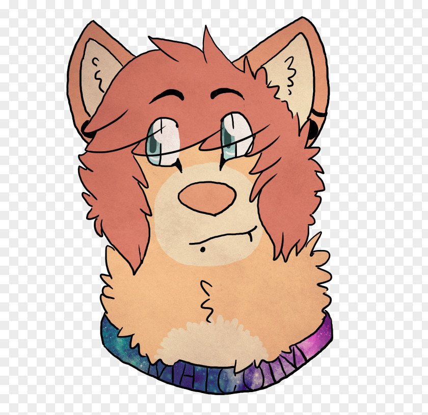 Cat Whiskers Snout Dog PNG