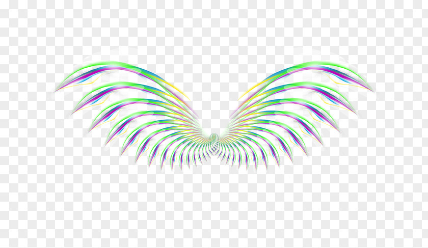 Fantasy Feather Wing Icon PNG