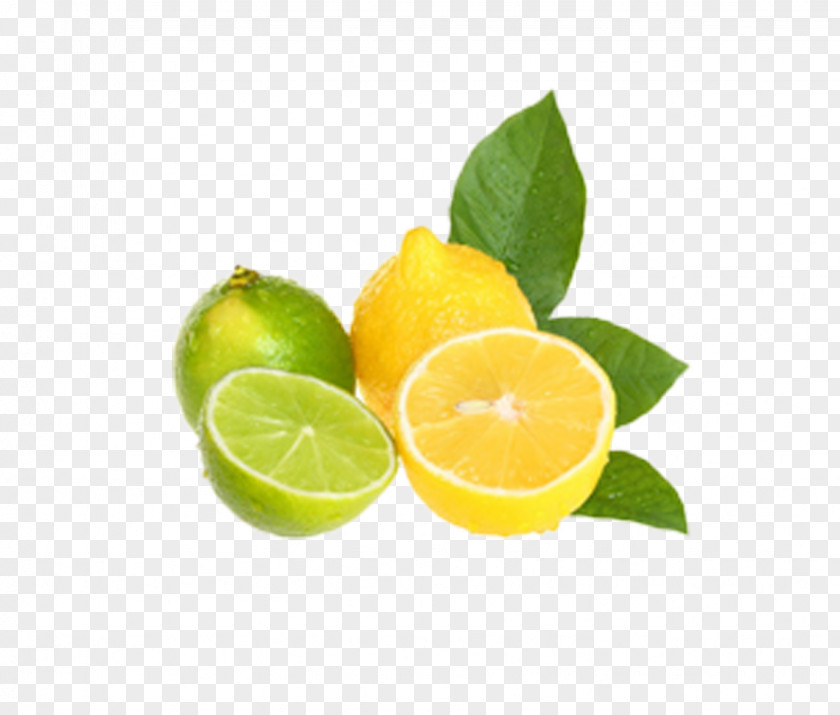 Lemon Juice Infusion Water Bottle PNG