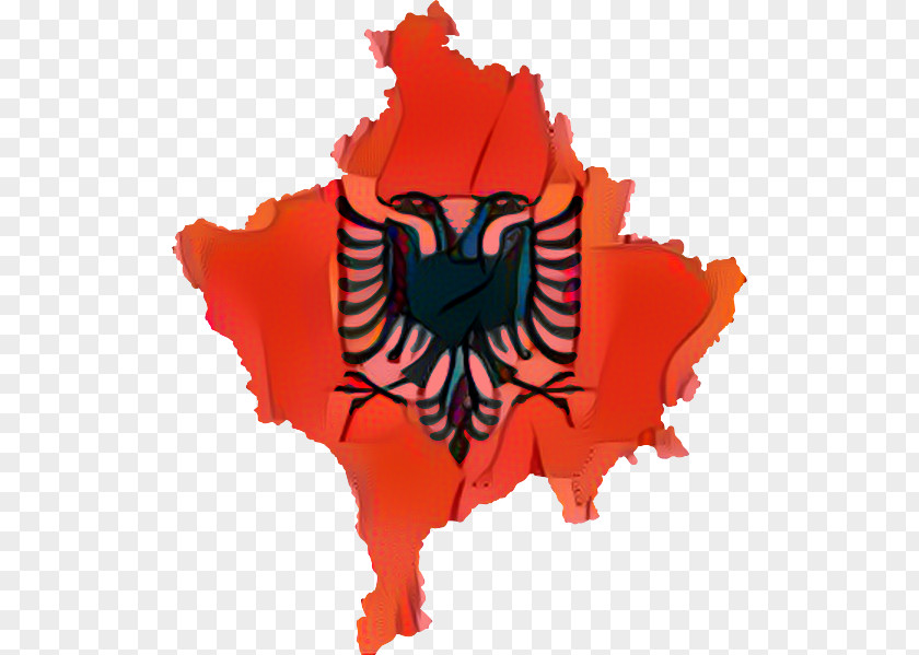 Logo Orange Flag Background PNG
