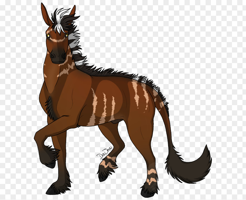 Mustang Mule Mane Pony Foal PNG