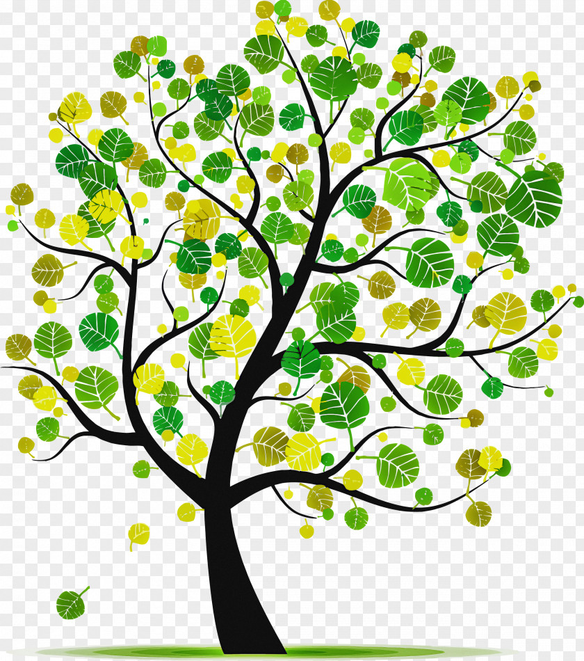 Tree Branch Green Plant Leaf PNG