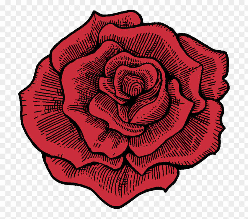 Cellar Stamp Garden Roses Cabbage Rose Mixology Petal Cut Flowers PNG