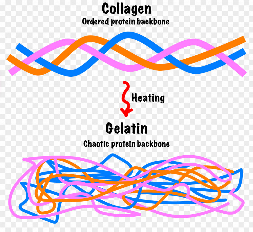 Food Texture Gelatin Thickening Agent Collagen Pectin PNG