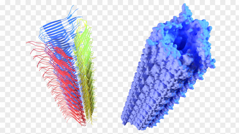 Lovely Deformed Cancer Cell 3D Computer Graphics Fibril Amyloid Beta Fractal PNG