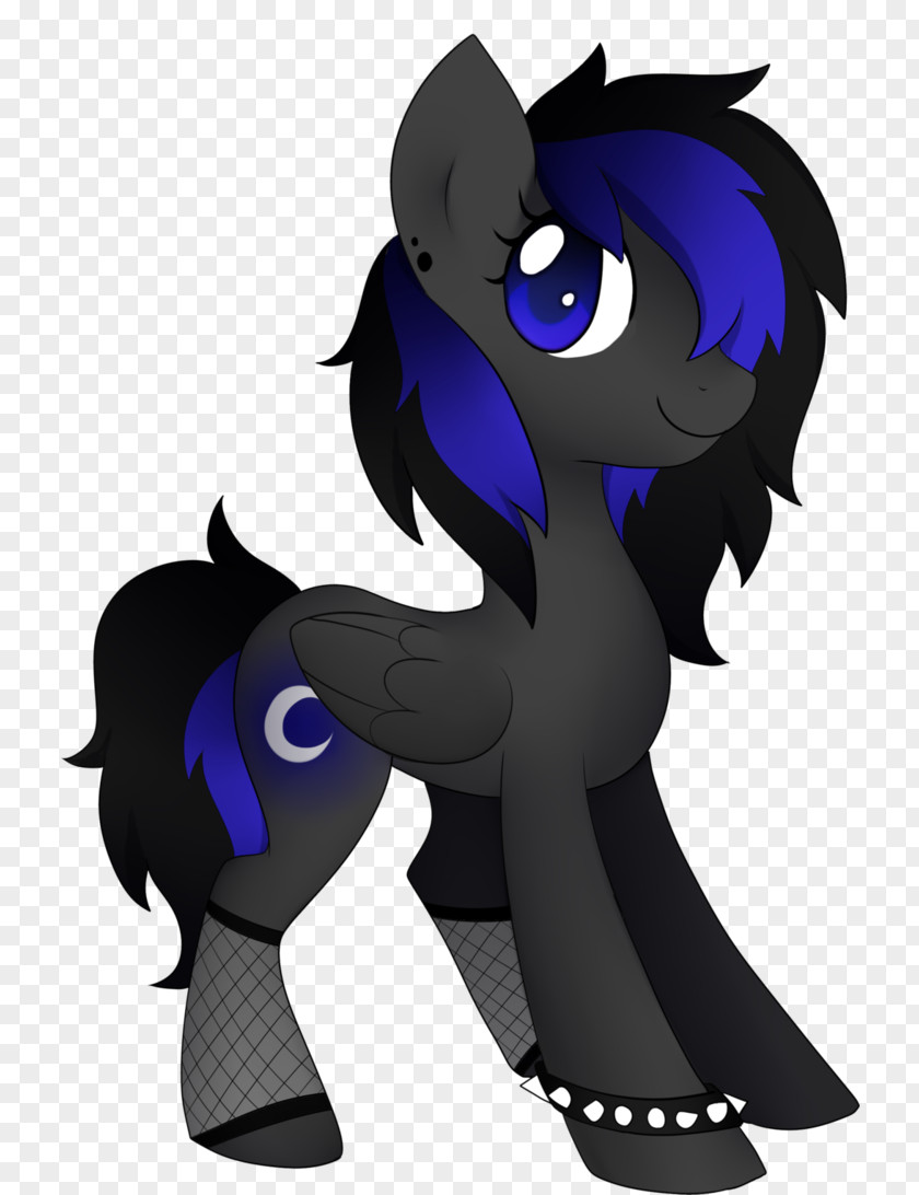 Midnight Pony Horse Cat Dog Canidae PNG