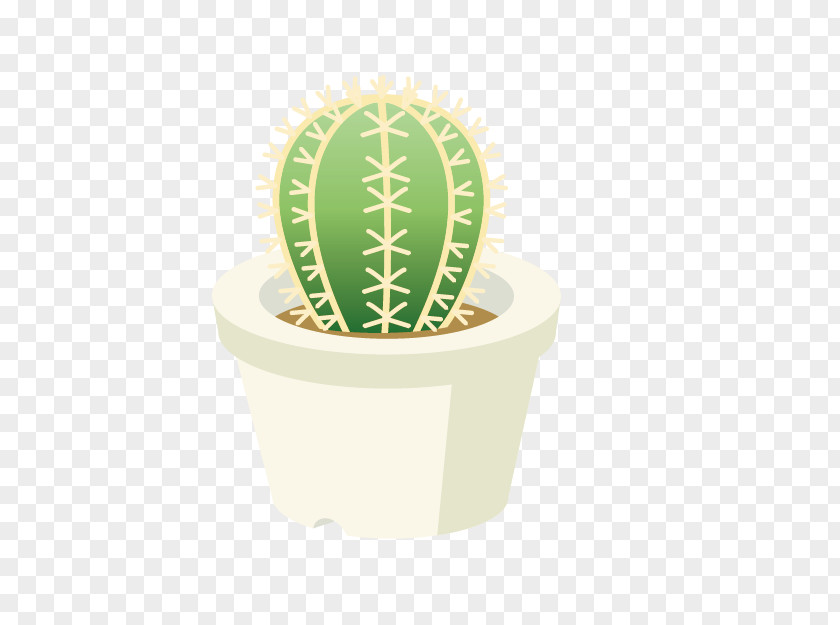 Potted Cactus Cartoon Cactaceae Flowerpot Drawing PNG