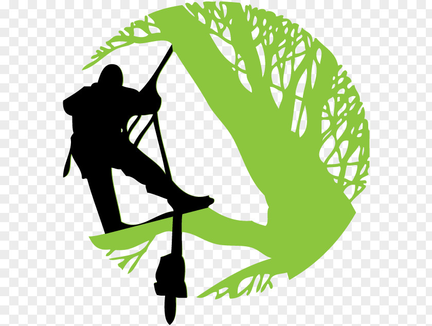 Advanced Professional Tree Services Longwood Business .mil Clip Art PNG