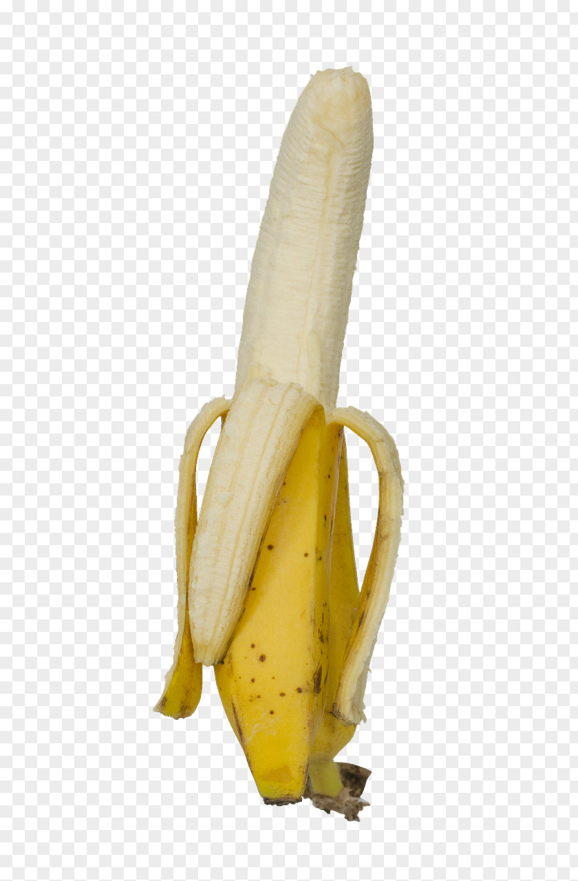 Banana Corn On The Cob PNG