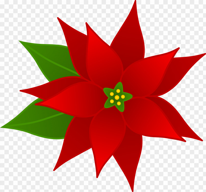 Christmas Pets Poinsettia Download Clip Art PNG