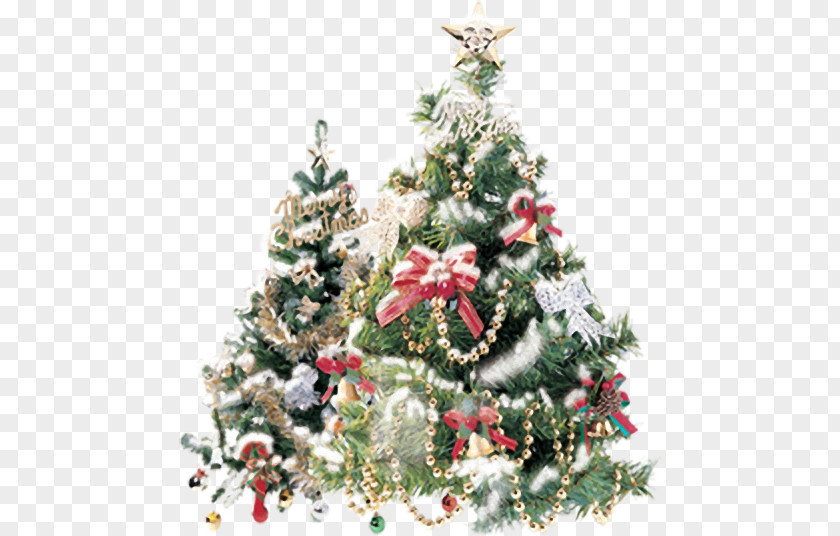 Christmas Tree Picture Frames PNG