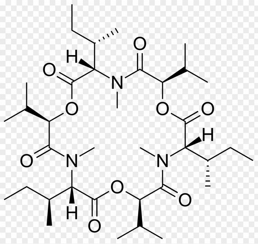 Nucleic Acid Structure Macromolecule Chemistry PNG