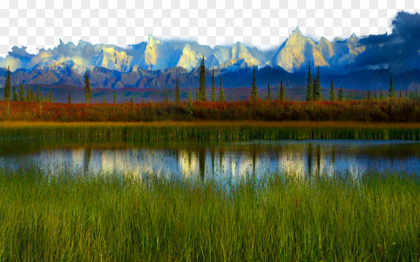 United States Denali National Park Two Yellowstone High-definition Television Wallpaper PNG