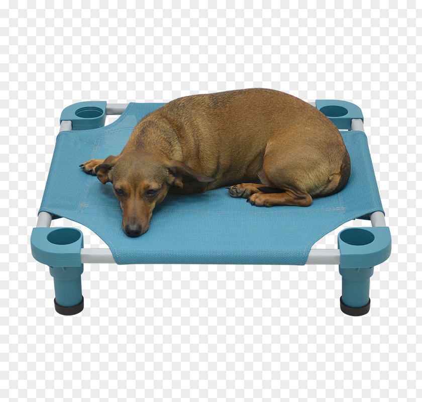 Cat Dog Breed Camp Beds Cots PNG